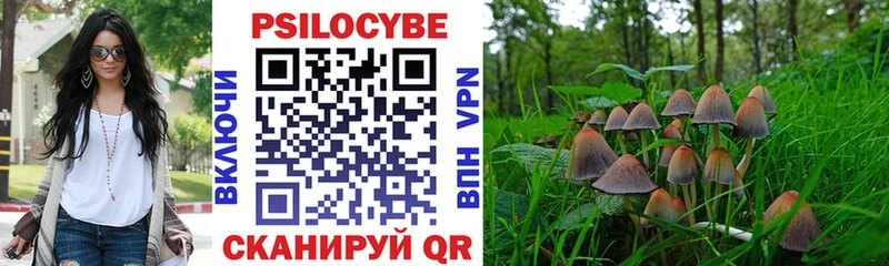 наркошоп  Кола  Псилоцибиновые грибы GOLDEN TEACHER 
